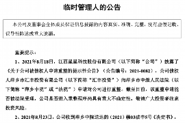 樟树遇到恶意拖欠？专业追讨公司帮您解决烦恼